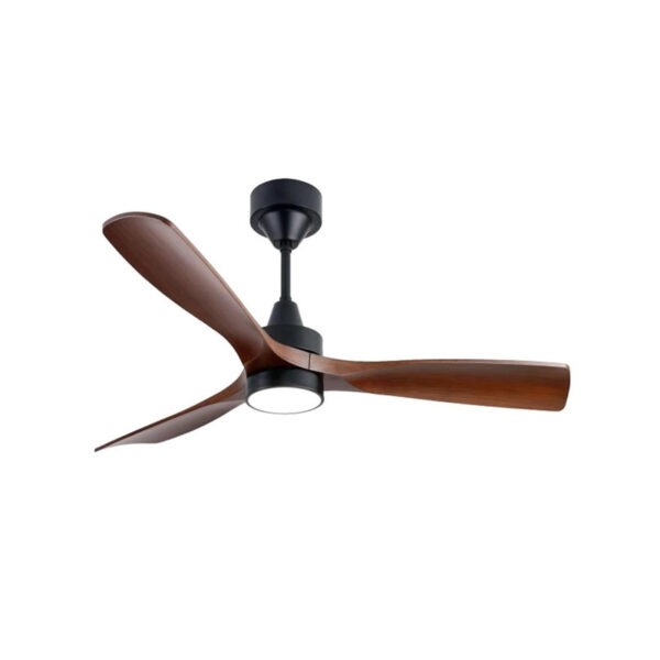 Polycrome Viera Ceiling Fan With Light  ECFP231B