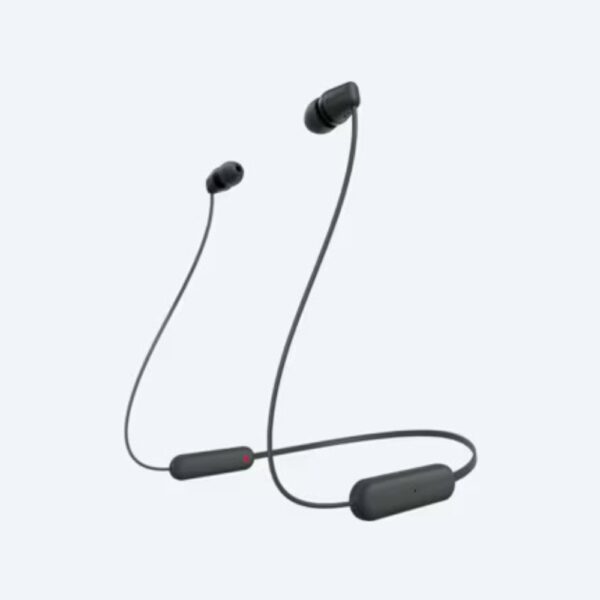 SONY Wireless In-ear Headphones