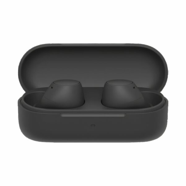 SONY Truly Wireless Earbuds